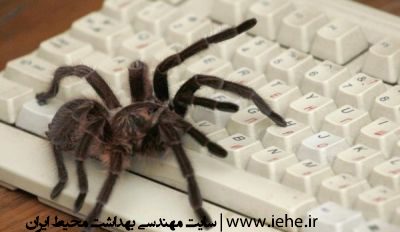 مبارزه با عنکبوت ها