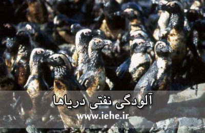 آلودگی نفتی دریاها