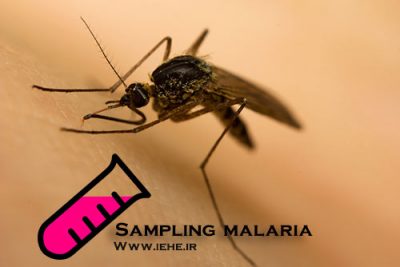 نمونه گیری در مالاریا Sampling malaria