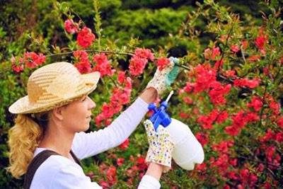 راهنمای کنترل مواجهه با آفت کش ها