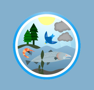 خودپالایی رودخانه چیست و  بررسی عوامل موثر در خودپالایی رودخانه