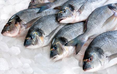 پاورپوینت آماده بهداشت ماهی و روش های تشخیص ماهی سالم