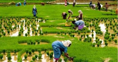 دانلود رایگان پاورپوینت آماده بهداشت کشاورزی ppt پاورپوینت رایگان بهداشت کشاورزی pdf