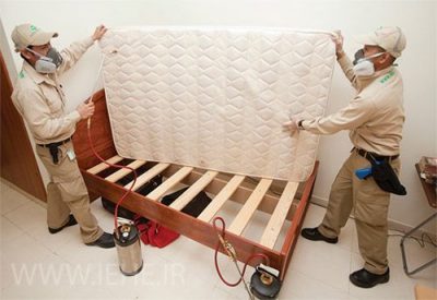 insect control,کنترل جوندگان,کنترل حشرات,کنترل حشرات خوابگاه,راهنمای سمپاشی خوابگاه,مبارزه با ناقلین در خوابگاه,کنترا جودنگان خوابگاه,پاورپوینت کنترل حشرات در خوابگاه ها,کنترل حشرات در اماکن عمومی