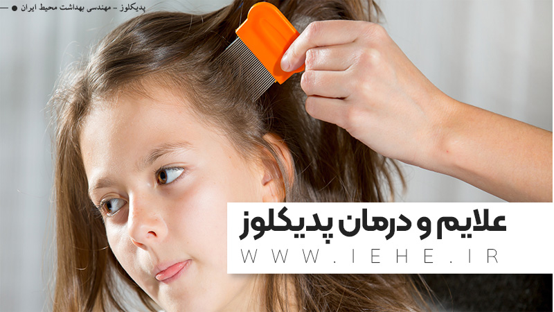 آموزش ساده و کوتاه درمان پدیکولوز یا شپش سر