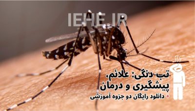 دانلود جزوه pdf تب دنگی علائم تب دنگی درمان تب دنگی پیشگیری از تب دنگی بیماری‌های ویروسی پشه‌زاد انتقال تب دنگی