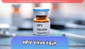 دانلود جزوه کامل HPV Virus ویروس پاپیلومای انسانی PDF