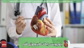دانلود رایگان پاورپوینت فیزیولوژی قلب