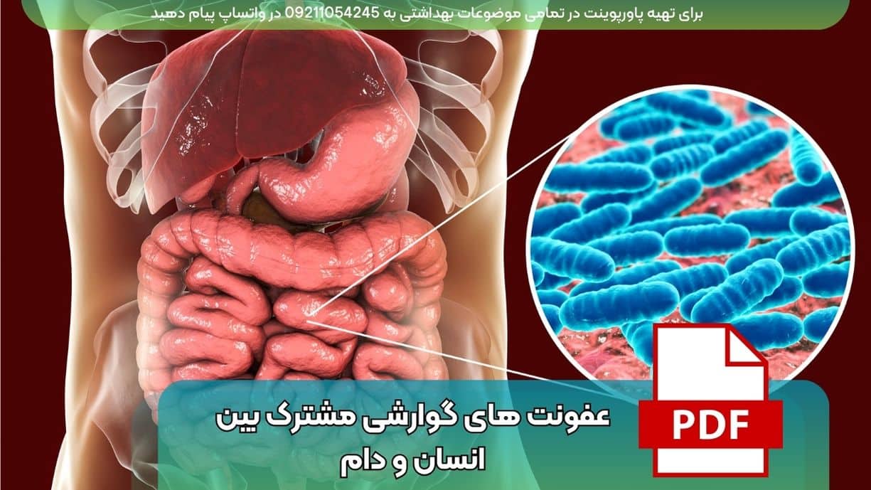 دانلود رایگان فایل PDF عفونت های گوارشی مشترک بین انسان و دام