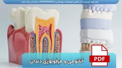 دانلود رایگان پاورپوینت آناتومی و مرفولوژی دندان ppt
