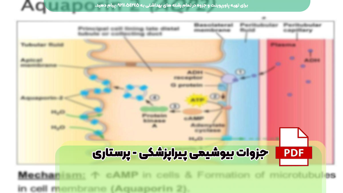 دانلود رایگان جزوات بیوشیمی پیراپزشکی - پرستاری