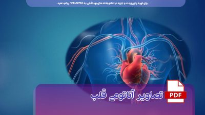 دانلود رایگان جزوه آناتومی قلب همراه با تصاویر pdf
