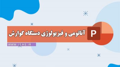 فیزیولوژی گوارش آناتومی دستگاه گوارش انسان pdf فیزیولوژی دستگاه گوارش pdf فیلم دستگاه گوارش سیستم عصبی دستگاه گوارش فیزیولوژی گوارش ppt عکس دستگاه گوارش تنظیم عصبی دستگاه گوارش دستگاه گوارش چیست