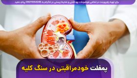 دانلود پمفلت WORD خود مراقبتی در سنگ کلیه - مناسب مطب، کلینیک و مراکز بهداشتی