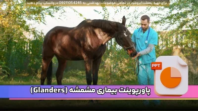 دانلود پاورپوینت فارسی بیماری مشمشه با 22 اسلاید قابل ویرایش